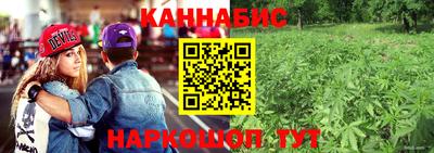 кокс Моздок