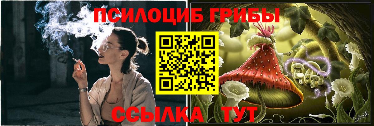 Галлюциногенные грибы Magic Shrooms Щёлково