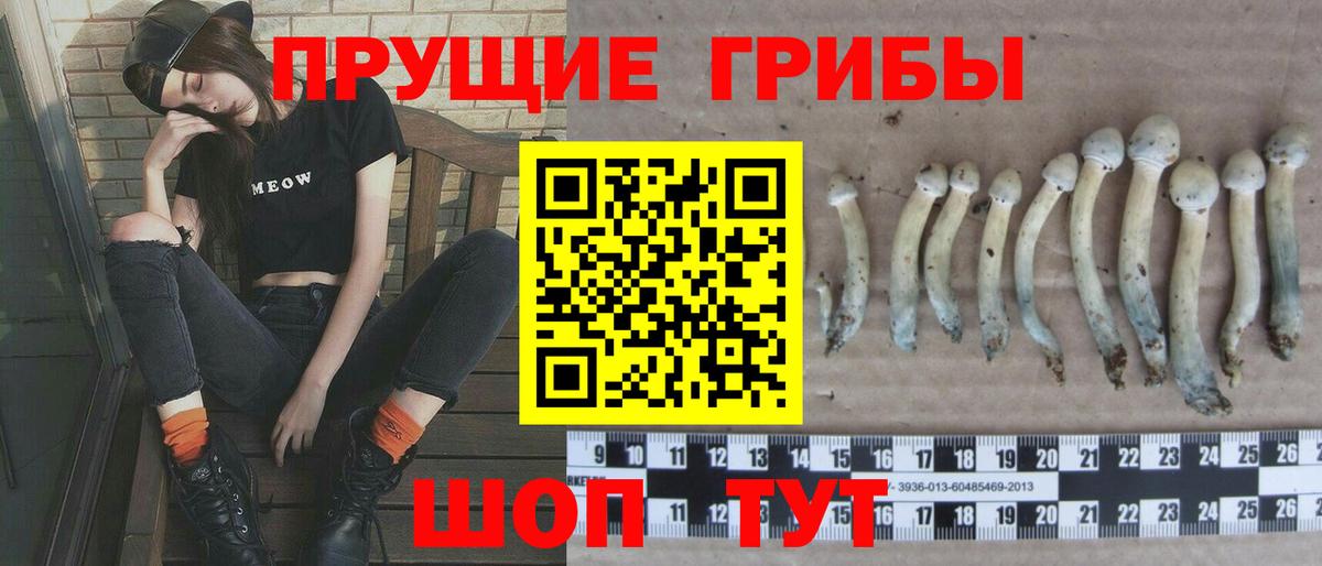 Щёлково  Галлюциногенные грибы ЛСД  Вход с VPN 